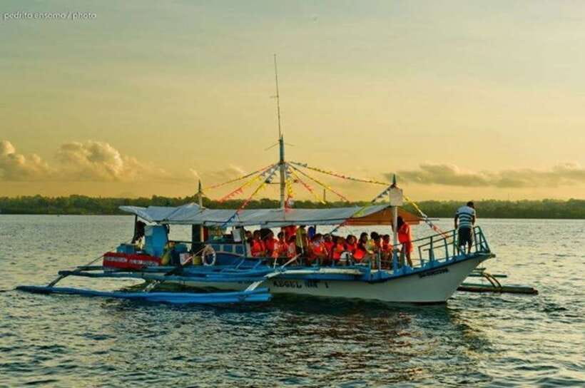 Puerto Princesa: Firefly Watching Bay Cruise with Dinner - Is $34 a Fair Price?