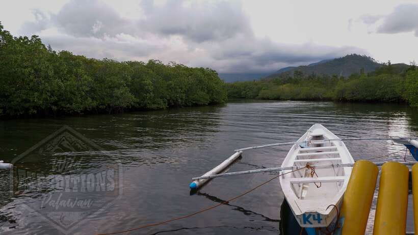 Puerto Princesa: Firefly Watching Paddle Boat Tour & Dinner - Starting with hotel pickup between 5:00 and 6:00 pm