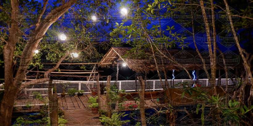 Puerto Princesa: Firefly Watching Paddle Boat Tour & Dinner - December and January offer the best chance for a big show