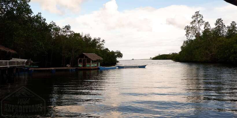 Puerto Princesa: Firefly Watching Paddle Boat Tour & Dinner - Is $27 a fair price?
