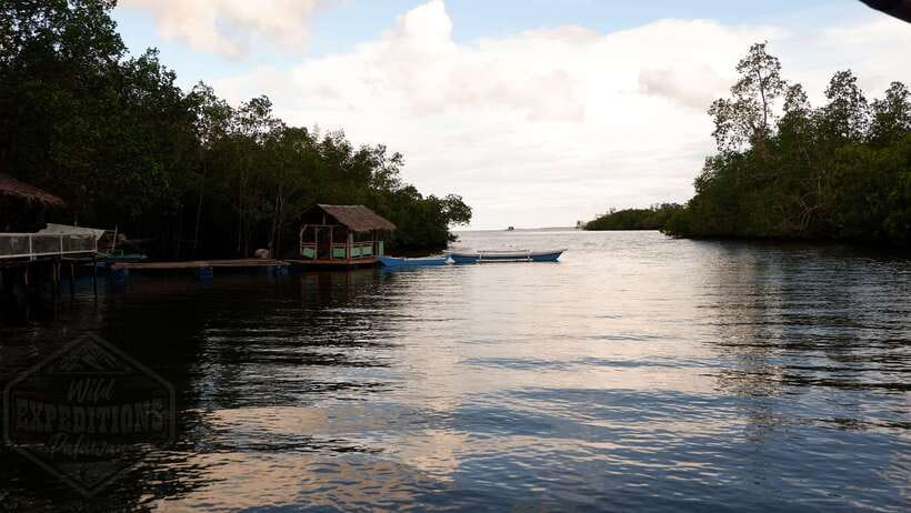 Puerto Princesa: Firefly Watching Paddle Boat Tour & Dinner - Baywalk and the short motorized boat ride