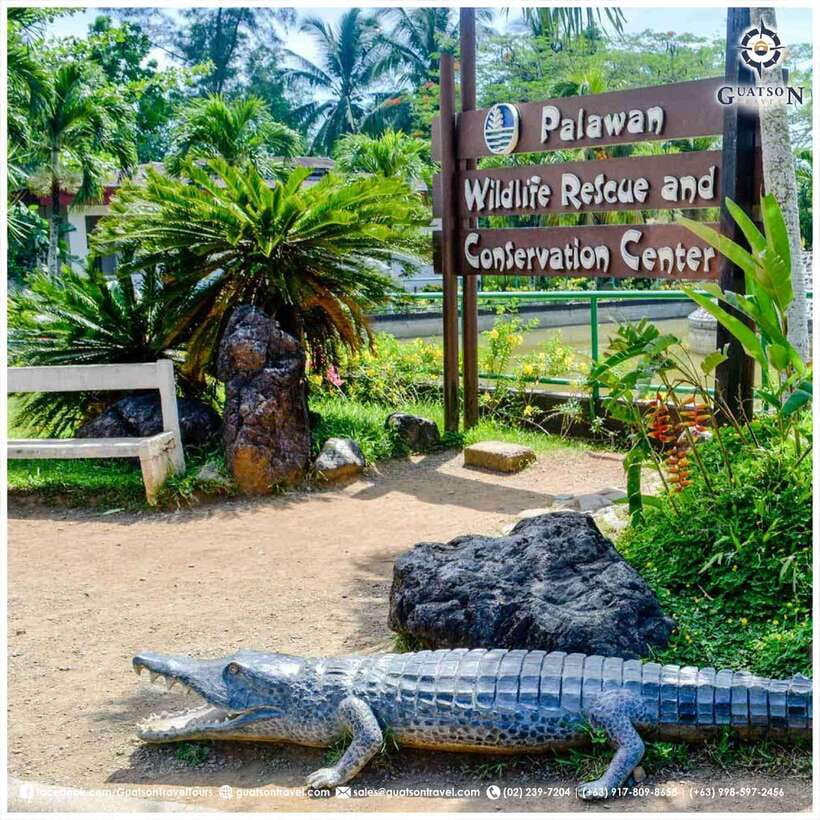 Puerto Princesa Half Day City Tour (shared tour) - Key points to know before booking
