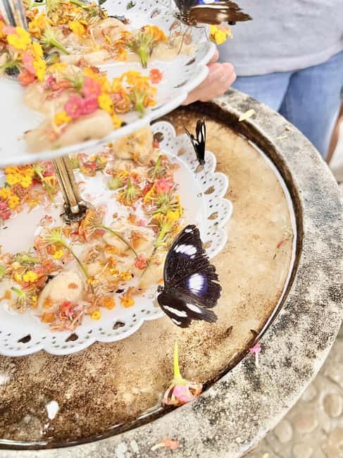 Puerto Princesa: Half Day City Tour with Butterfly Garden - Key points at a glance