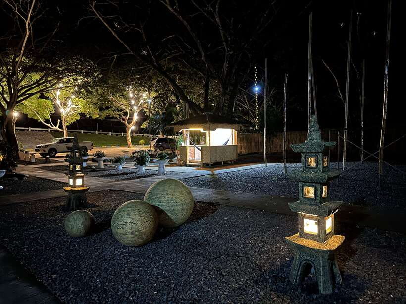 Puerto Princesa: Iwahig Firefly Watching & River Cruise - How to photograph fireflies without ruining the view