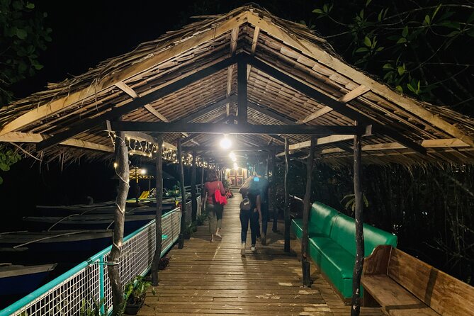 Puerto Princesa Jungle River Firefly Watching - Kitu-KiTo D’Makarios and the mangrove river