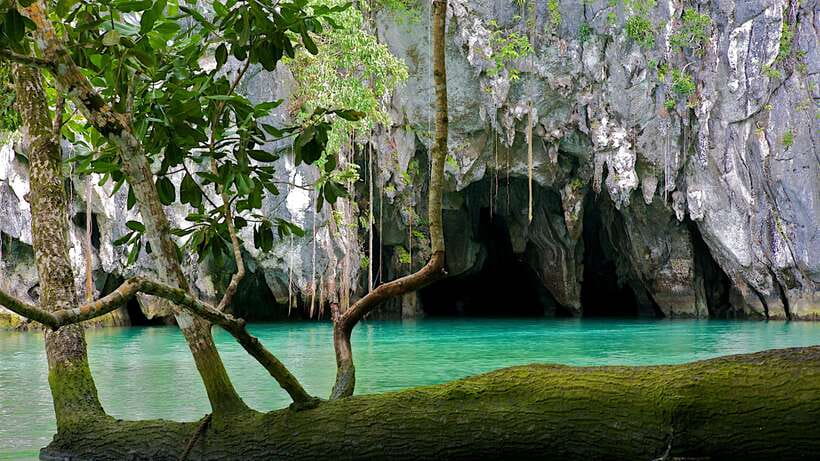 Puerto Princesa: Underground River and Firefly Watching Tour - Reaching the Underground River by boat