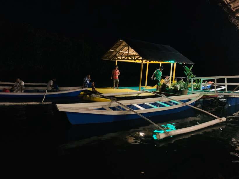 Puerto Princesa: Underground River and Firefly Watching Tour - Fireflies, dinner, and glowing water after dark