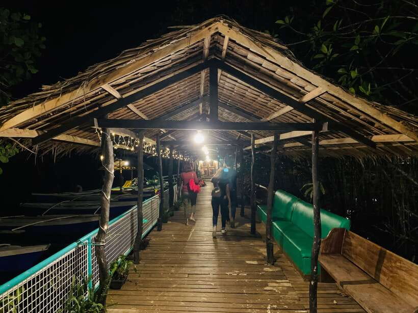 Puerto Princesa: Underground River and Firefly Watching Tour - Timing, weather, and the long-day question