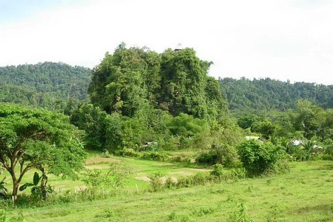 Puerto Princesa Underground river excursion tour UNESCO - The 90-minute road trip from Puerto Princesa