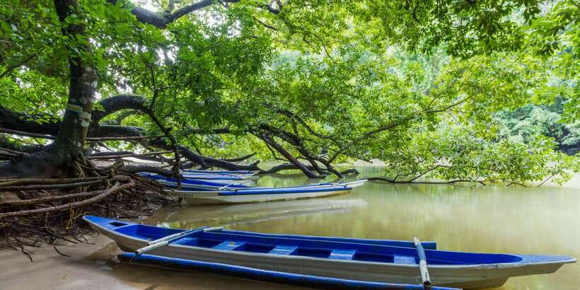 Puerto Princesa Underground River Tour in Palawan - Optional stops, and the main catch