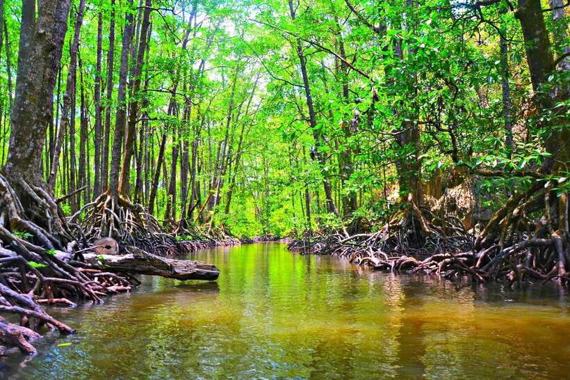 Puerto Princesa: Underground River, Zipline, Paddleboat Tour - Should you book the Underground River, Zipline, and Paddleboat Tour?