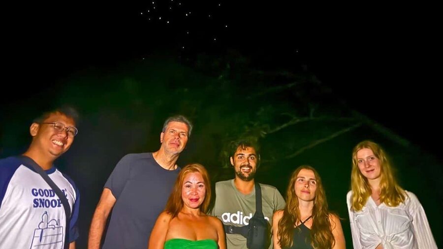 Shared Firefly Watching Cruise on Bohol’s Scenic Loboc River - What the Firefly Display Really Looks Like