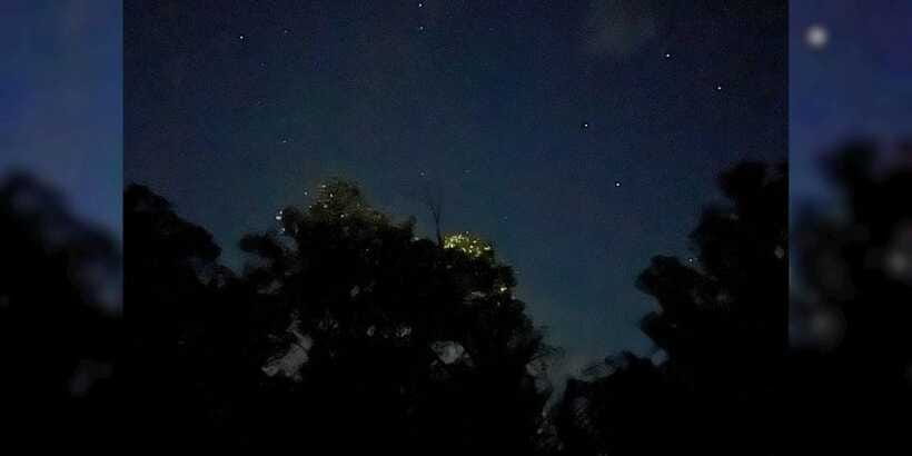 Shared Firefly Watching Cruise on Bohol’s Scenic Loboc River - Should You Book the Loboc Firefly Cruise?