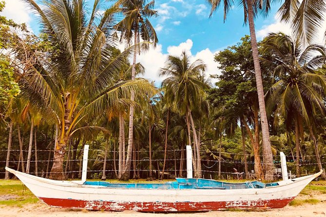 Shared Honda Bay Island Hopping Tour - Lu-Li Island: hammocks, swimming, and a mini bar