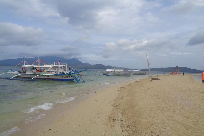 Shore excursion: Puerto Princesa Island Hopping Tour - Cowrie Island: lunch, swimming, and sand