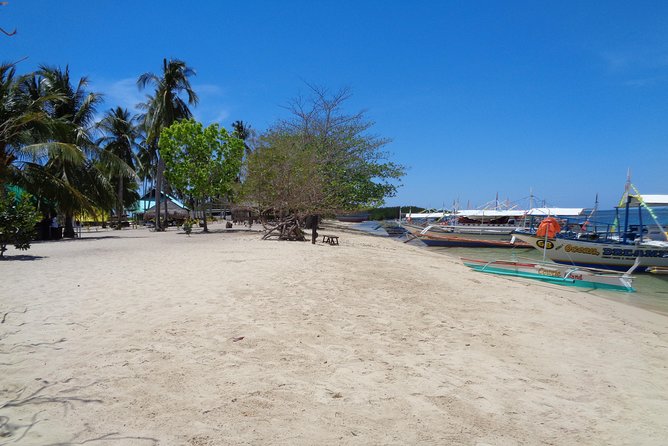 Shore excursion: Puerto Princesa Island Hopping Tour - What the guides add to the day