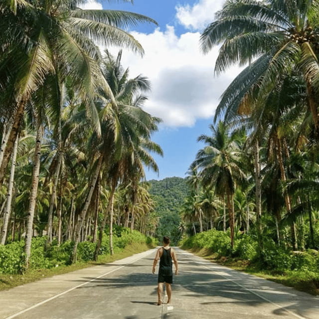 SIARGAO: Land Tour with Maasin River - Coconut Trees View Deck and Coconut Road