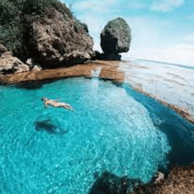 SIARGAO: Land Tour with Maasin River - Maasin River beneath the bent coconut tree
