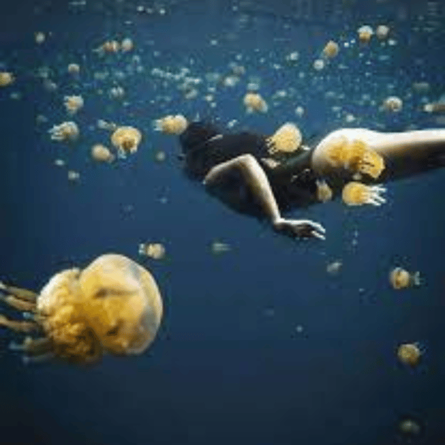 Siargao:Sohoton Island Hopping Tour with Jellyfish Sanctuary - Tiktikan Lake or Dagatan Bay