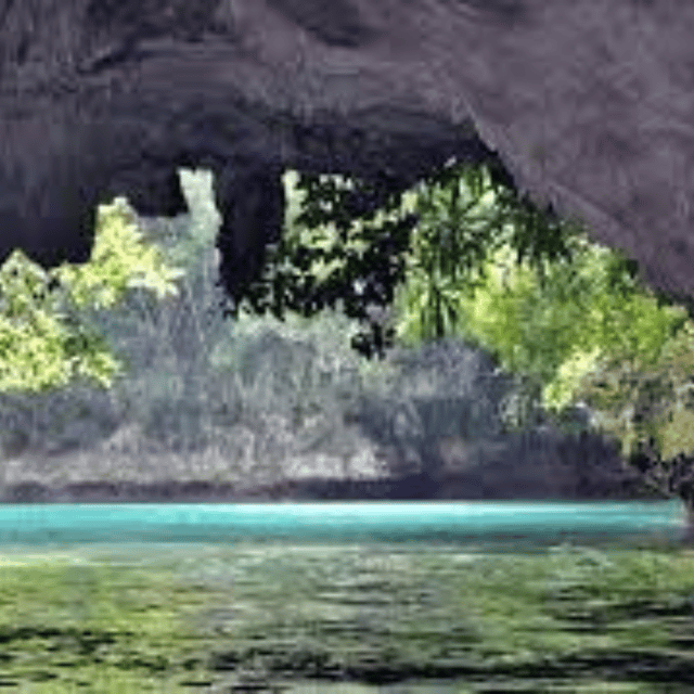 Siargao:Sohoton Island Hopping Tour with Jellyfish Sanctuary - Who will enjoy this day most