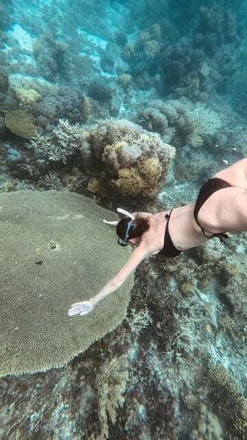 Siquijor: Freediving Adventure with Lunch and Beach Time - Tubod Sanctuary and the possible third water stop