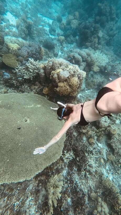 Siquijor: Freediving Adventure with Lunch and Beach Time - Tulapos Marine Sanctuary and the first look below the surface