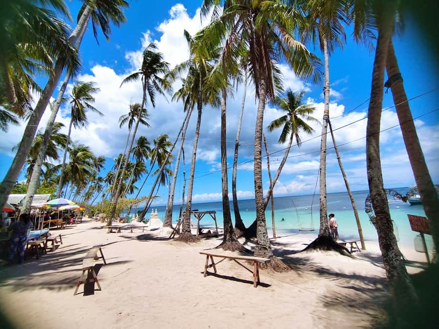 Siquijor: Siquijor Island Tour Cambugahay Falls Private - Capilay Spring brings a local swimming tradition