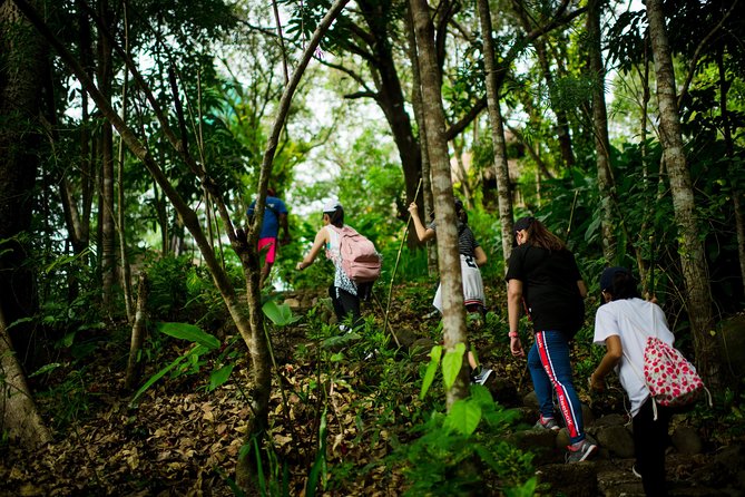 Skip the Line: Hike Eat Swim at Mount Purro Nature Reserve Ticket - Trading Manila traffic for Sierra Madre forest