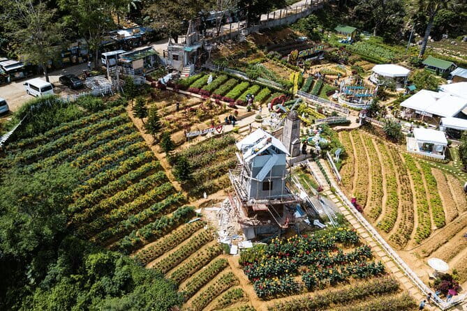 Small Group Cebu City And Uphill Mountain Tour - Sirao Garden starts the day with color