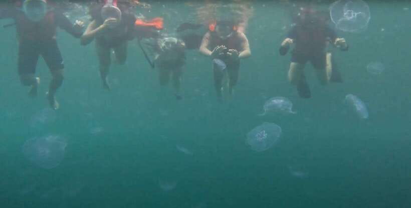 Sohoton Cove: Swim with Jellyfish & Explore Hidden Lagoons - Limestone lagoons framed by cliffs