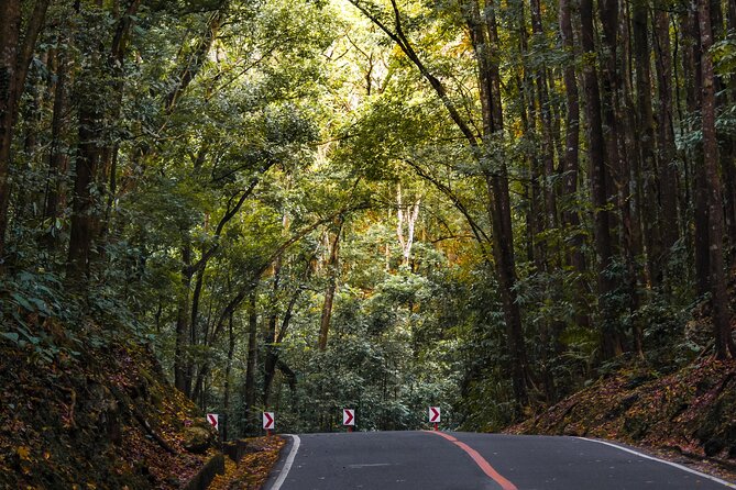 The tour of the must-see sites of Bohol - Panga Falls combines lunch and a refreshing break