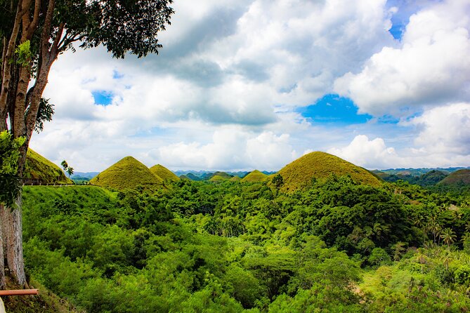 The tour of the must-see sites of Bohol - The Loboc River viewpoint ends with a wide view