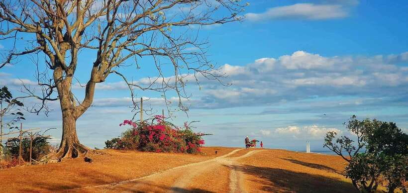 Trekking to see the beautiful view of Cebu City - The main weakness: confirm the pickup