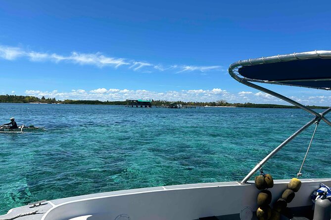 Twin Island Snorkeling Adventure at Hiltungan and Nalsuan - Who Will Get the Most From This Outing