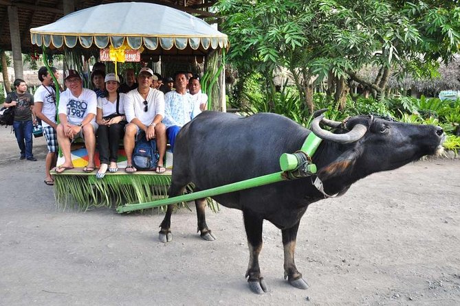 VILLA ESCUDERO DAY TOUR with Carabao Cart Ride and Bamboo from Manila - A full day at an 800-hectare coconut plantation