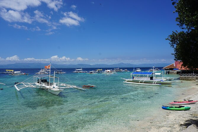 Whale Shark, Canyoneering, Sardines Run and Turtles with Transpo - Oslob whale sharks after the early start