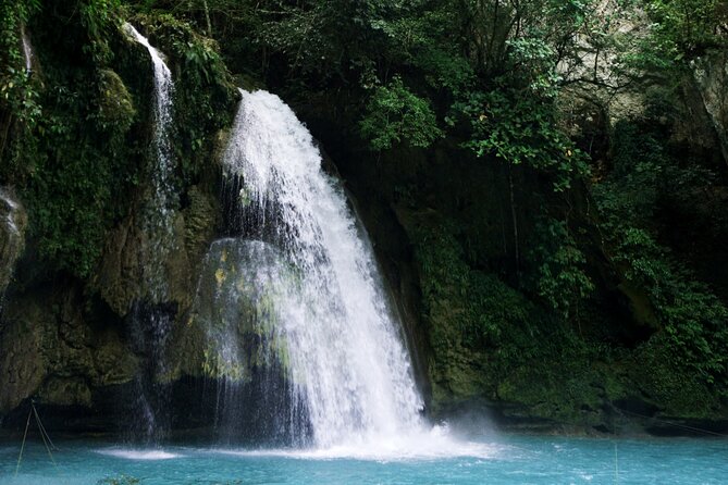 Whale Shark, Canyoneering, Sardines Run and Turtles with Transpo - What the $180 price covers