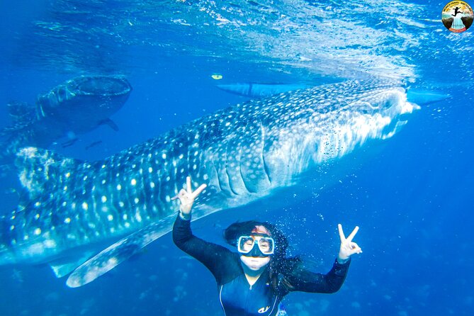 Whale Shark Swimming, Tumalog Falls and Kawasan Canyoneering - Kawasan canyoneering turns the afternoon into a test