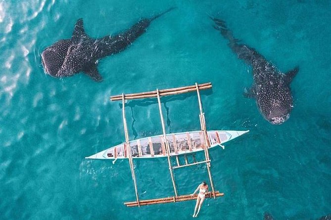 Whale Shark & Tumalog Falls & Sumilon Sandbar & Pescador Island with Sardines - What to pack for a wet, crowded, long day